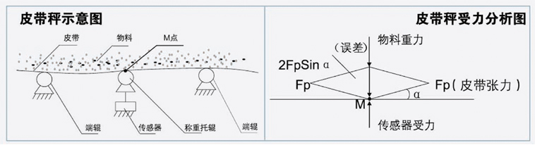 阵列式皮带秤