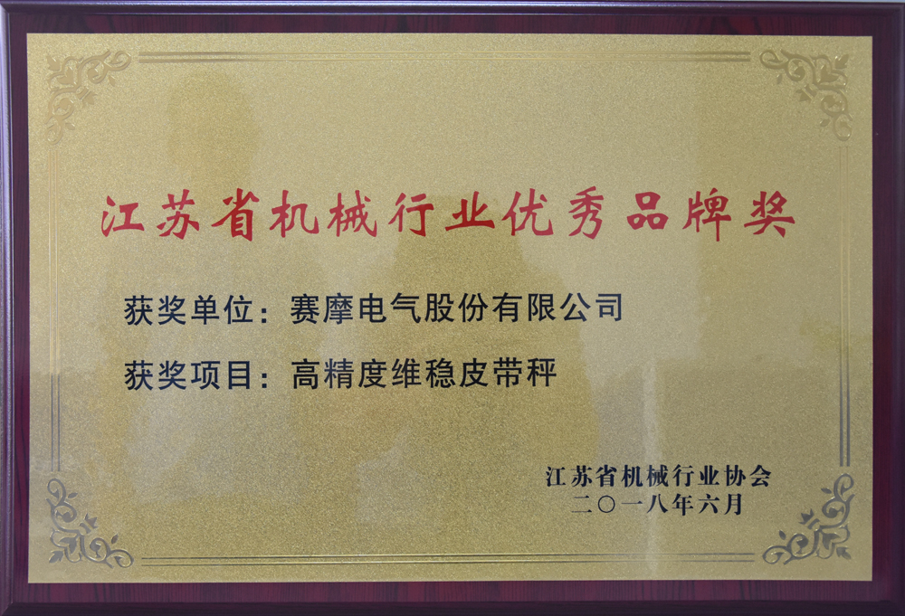 高精度皮带秤