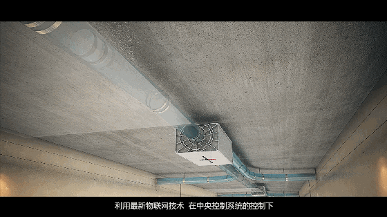 赛摩