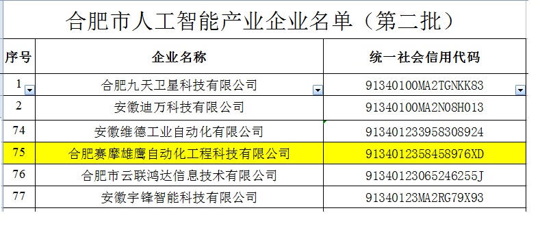 合肥市人工智能企业